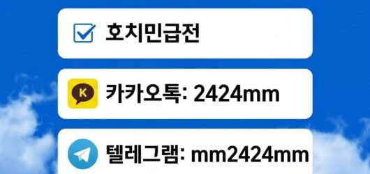 베트남급전대출 안전하게 이용하는 방법 (총정리)